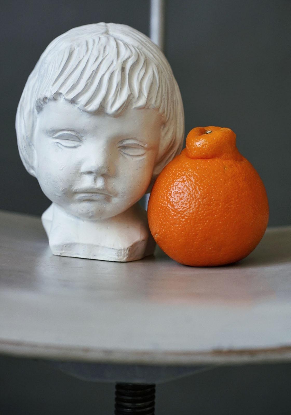 Still_life001.jpg