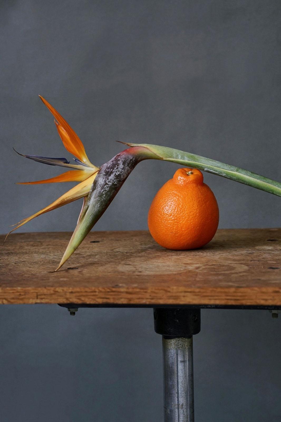 Still_life004.jpg